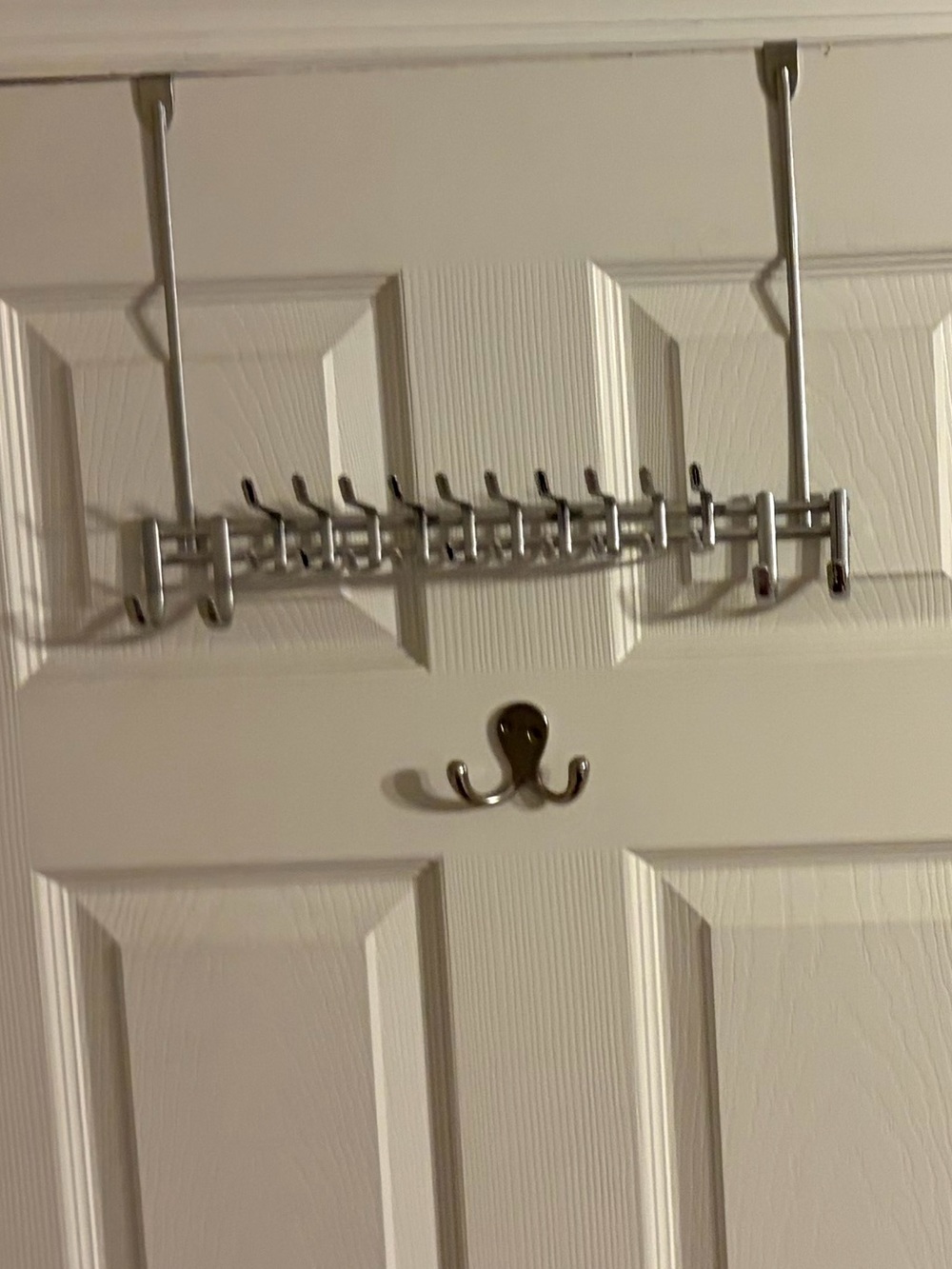 Over-the-Door Multi-Hook Rack in Silver